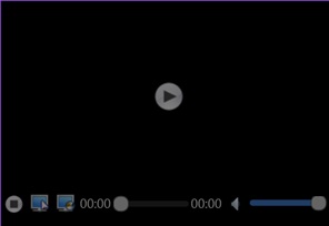video window controls